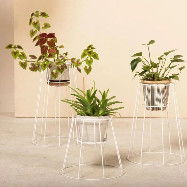 Not Yet Made - Made To Order Small Sea Green Cibele Plant Stands by OK Design, Set of 3 For Sale - Image 5 of 7