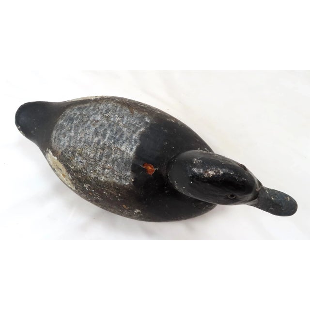 Wood Antique Hand Carved & Painted Wood Duck Decoy From Maine For Sale - Image 7 of 13