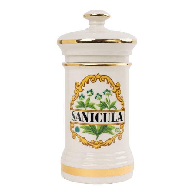 1970s Vintage Ceramic Sanicula Apothecary Jar For Sale