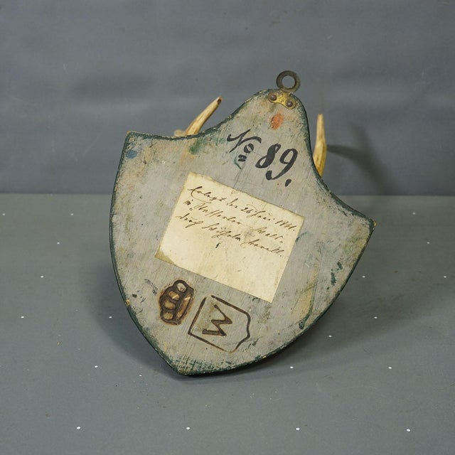 Late 19th Century Black Forest Red Deer Trophy on Plaque - Salem Germany 1861 For Sale - Image 5 of 6