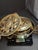 Late 19th Century Judaica Silver Plated Bronze Ner Tamid Synagogue Memorial Hanging Lamp Frame Eternal Light For Sale - Image 18 of 18