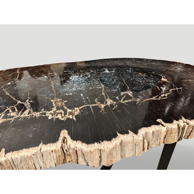 Andrianna Shamaris Magnificent Large Petrified Wood Table For Sale - Image 13 of 18
