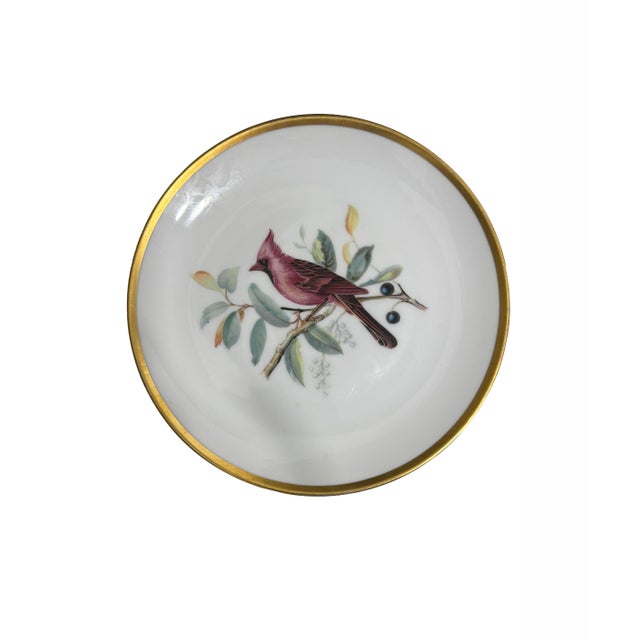 1960s Vintage Hutschenreuther Selb Bavaria Audubon Bird Porcelain Dessert Plates – Set of 4, 24k Gold Rim For Sale - Image 5 of 6