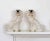 Staffordshire Mantel Spaniels - A Pair For Sale In Providence - Image 6 of 7