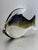 Mid-Century Modern Grey Murano Glass Fish, 1960s For Sale - Image 3 of 13