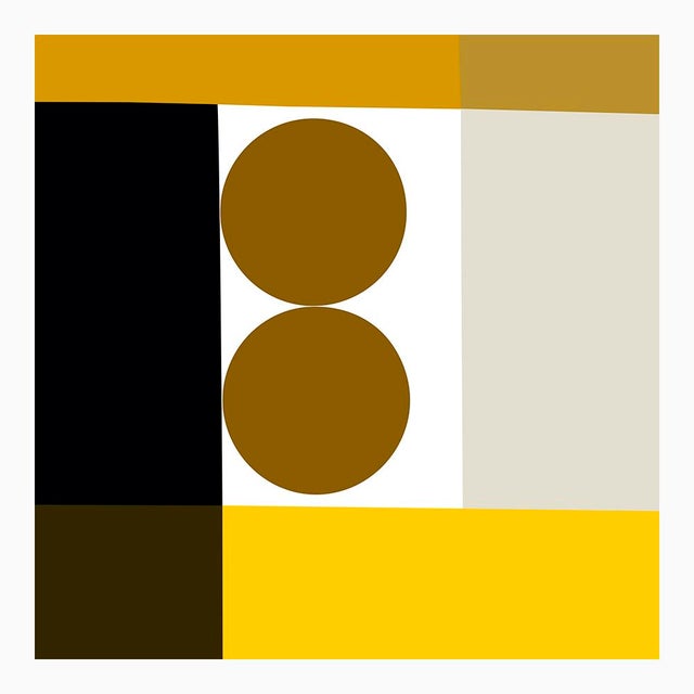 Yellow Tuxedo Fine Art Print 20" X 24" by Liz Roache For Sale - Image 4 of 7