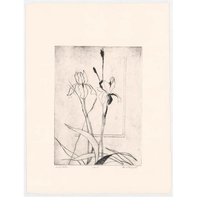 David Baird etching on paper, pencil signed.