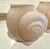 Pink Glass Shell Vases - Set of 2 For Sale - Image 4 of 8