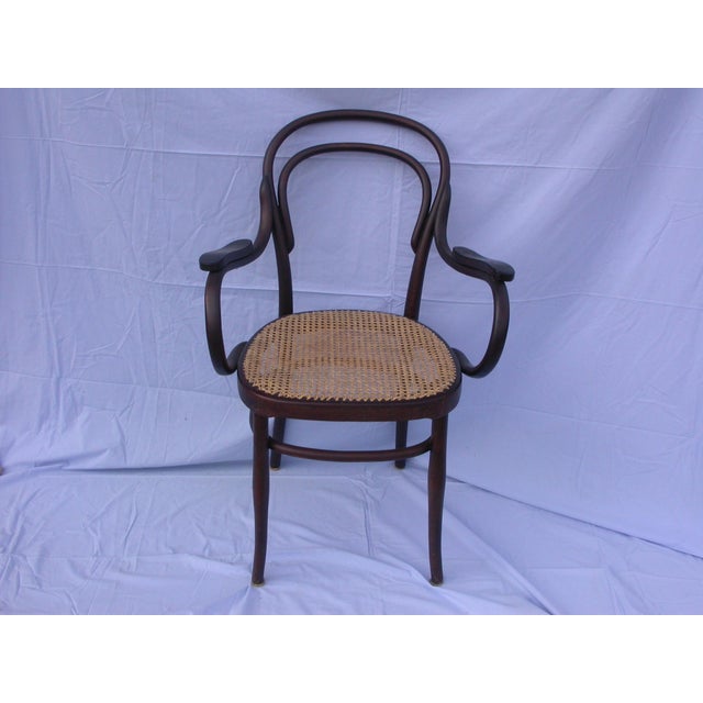 Vienna Straw Chair by J & J Kohn for Jacob & Josef Kohn, 1890s For Sale - Image 11 of 11