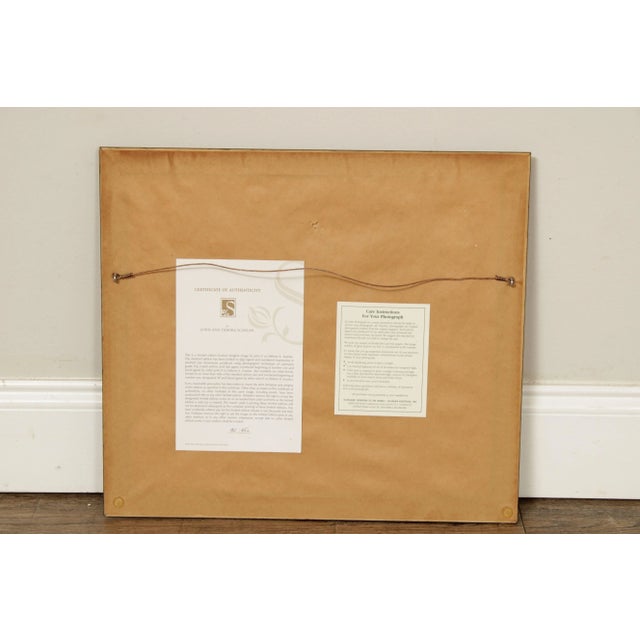 1990s "Sheepscape" Ireland Landscape Photography Print by John & Debra Scanlan For Sale - Image 12 of 13