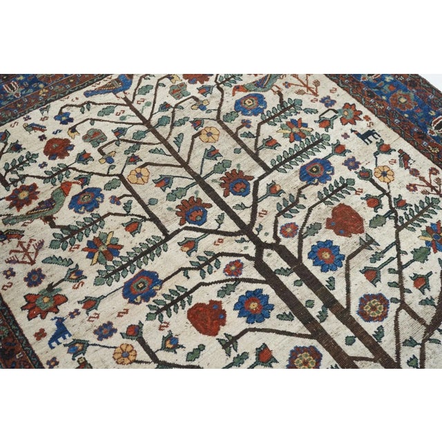Ecru Antique Afshar Rug 5'2'' x 6'4'' For Sale - Image 8 of 10