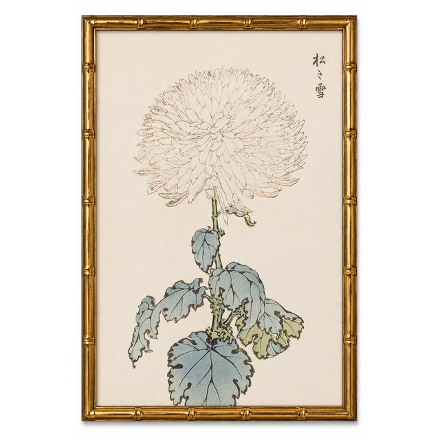 White Chrysanthemum by Hasegawa, Vintage Japanese Botanical Art Print, 8" X 12" For Sale In Buffalo - Image 6 of 8