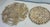 Vintage Shell Trivets - Set of 2 For Sale - Image 4 of 8