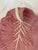 Bordallo Pinheiro 1970s Large Bordallo Pinheiro Blush Pink Cabbage Leaf Serving Dish With Curved Handle 12 1/2" For Sale - Image 4 of 9