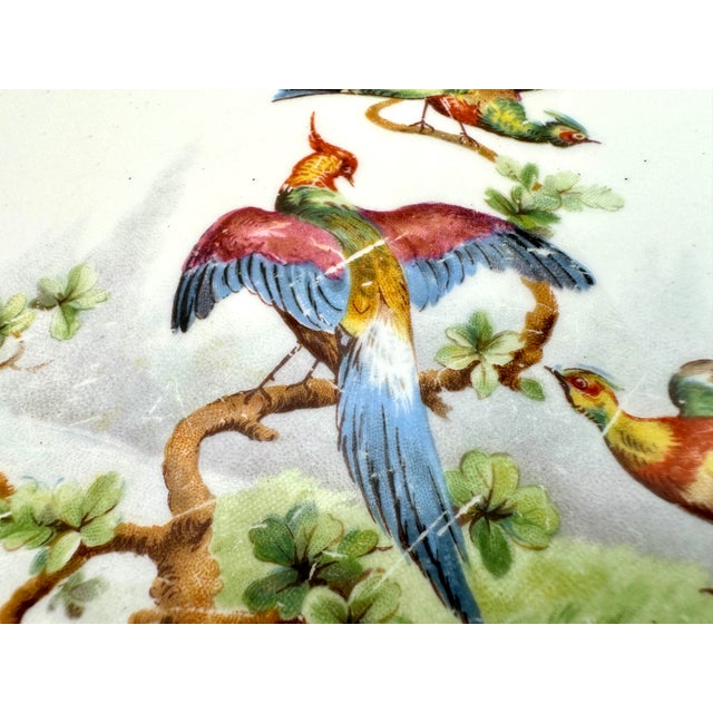 1920s 1920's John Maddock & Sons “Royal Vitreous” Bird Plates, Set of 6 For Sale - Image 5 of 12