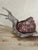 "Clear and Pheasant Danger" Chinoiserie Fox Pheasant Hunting Scene For Sale In Philadelphia - Image 6 of 6