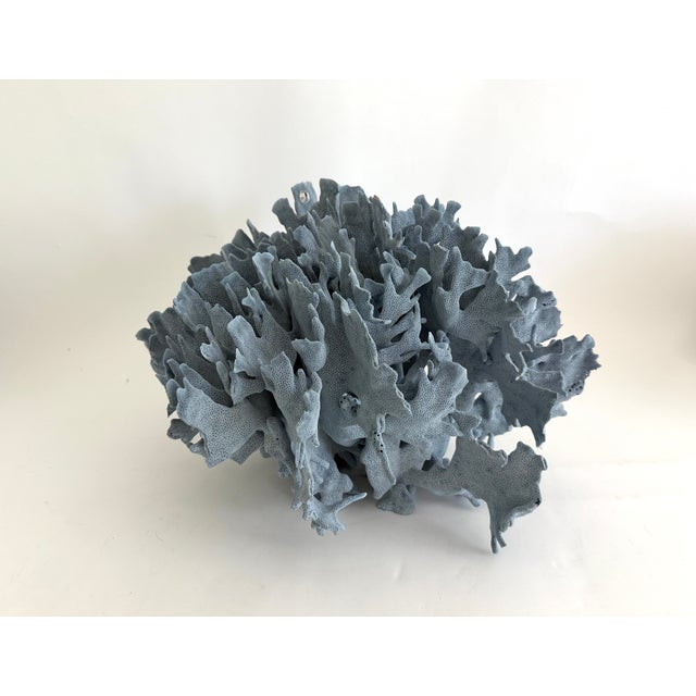 Chinoiserie Massive Natural Blue Coral Specimen Coastal Decor For Sale - Image 3 of 7
