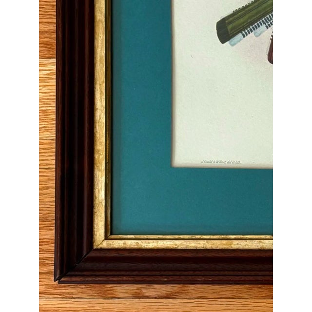 1950s Antique Original John Gould English Bird Print, Framed For Sale - Image 5 of 7