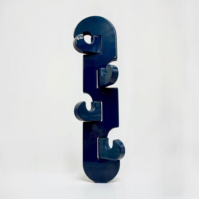 Vertical Wall Coat Hanger in Blue Molded Plastic by Visiva Milano, Italy, 1970s For Sale - Image 10 of 16
