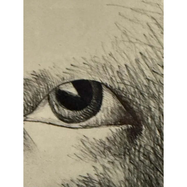 Black "Kopffüßler Mit Einer Wunde (Head-Footer With a Wound)" Lithograph by Horst Ante For Sale - Image 8 of 10