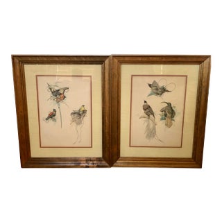 19th C. French Drawings of Birds, Pair For Sale