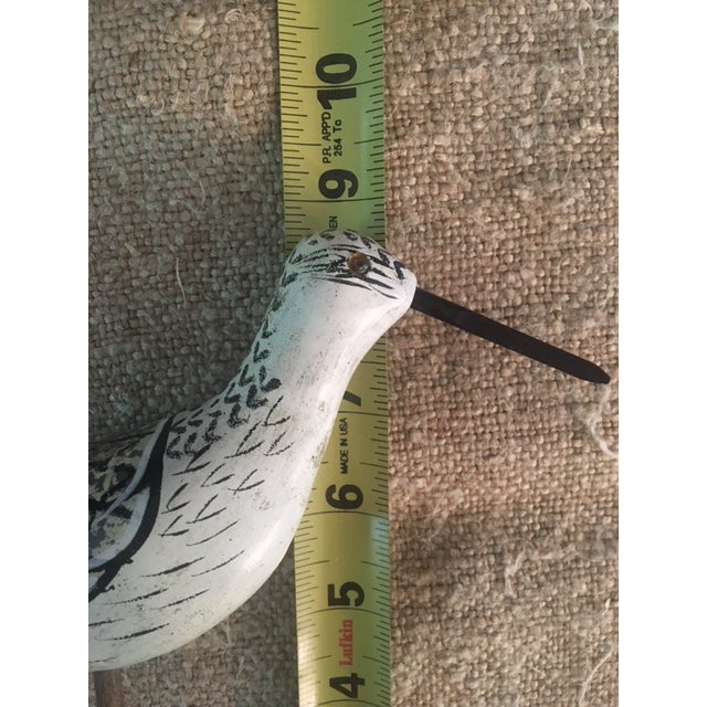 Vintage Small Long-Billed Shore Bird For Sale In Dallas - Image 6 of 7