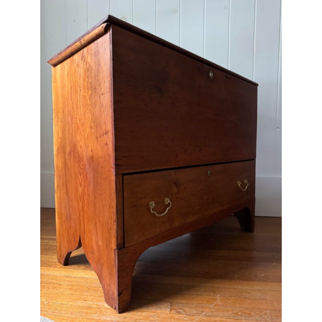19th Century Early American Mule Chest For Sale - Image 9 of 11