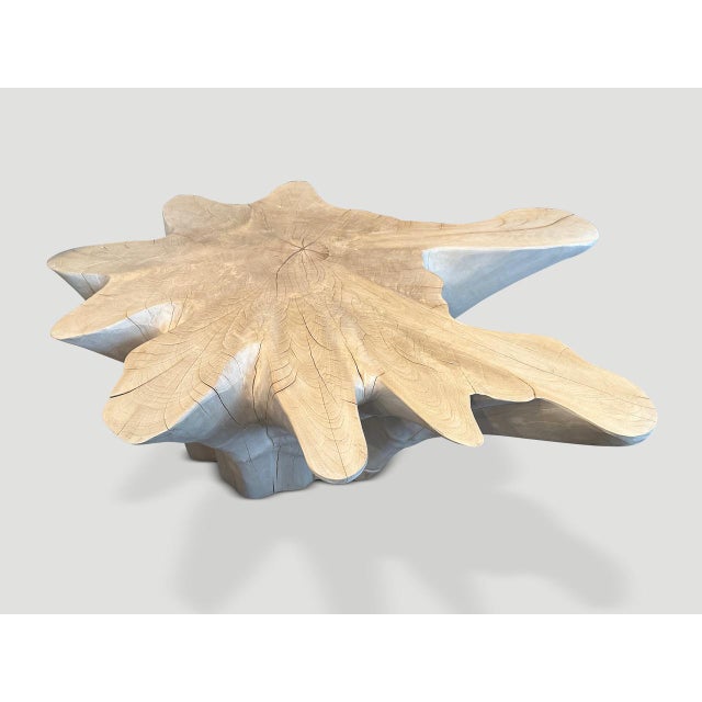 2010s Andrianna Shamaris Amorphous Bleached Teak Wood Coffee Table For Sale - Image 5 of 5