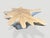 2010s Andrianna Shamaris Amorphous Bleached Teak Wood Coffee Table For Sale - Image 5 of 5