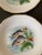 Ceramic Mid 20th Century Vintage French Porcelain Limoges Fish Plates- Set of 2 For Sale - Image 7 of 12