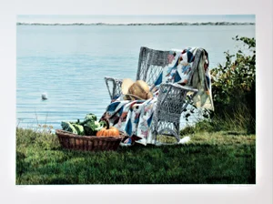 Helen Rundell, Cornucopia, 1987