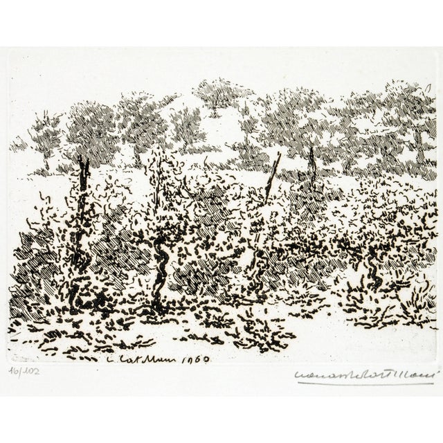 The Vineyard is an original etching realized by Leonardo Castellani in 1960. The etching is part of an edition of 100...