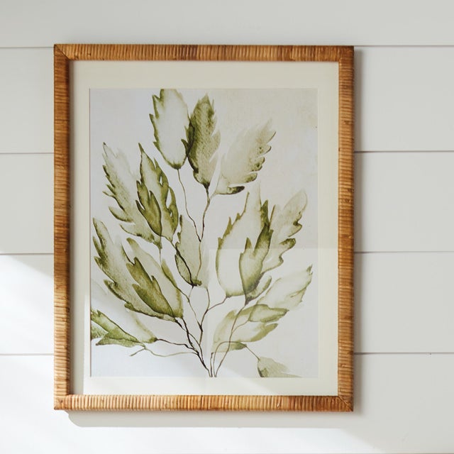 Early 21st Century Coastal Greenery Prints, Set Of 4 For Sale - Image 5 of 5