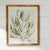 Early 21st Century Coastal Greenery Prints, Set Of 4 For Sale - Image 5 of 5