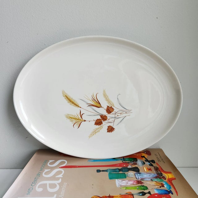 Ceramic Mid Century Oval Serving Platter Autumn Harvest by Taylor, Smith & Taylor For Sale - Image 7 of 7