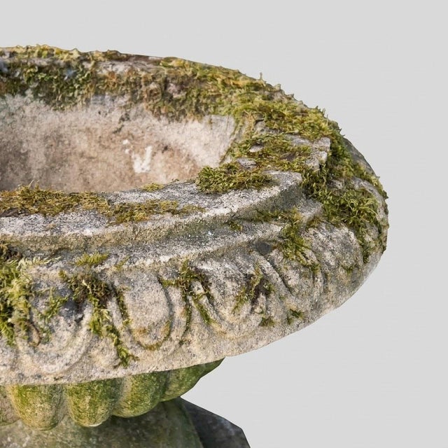 Stone English Garden Basin on Patinated Stone Pedestal, 1920s For Sale - Image 7 of 16