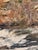 Canyon River by Sandra Pratt | Oil on Panel Landscape of a flowing river in a canyon setting For Sale - Image 4 of 5
