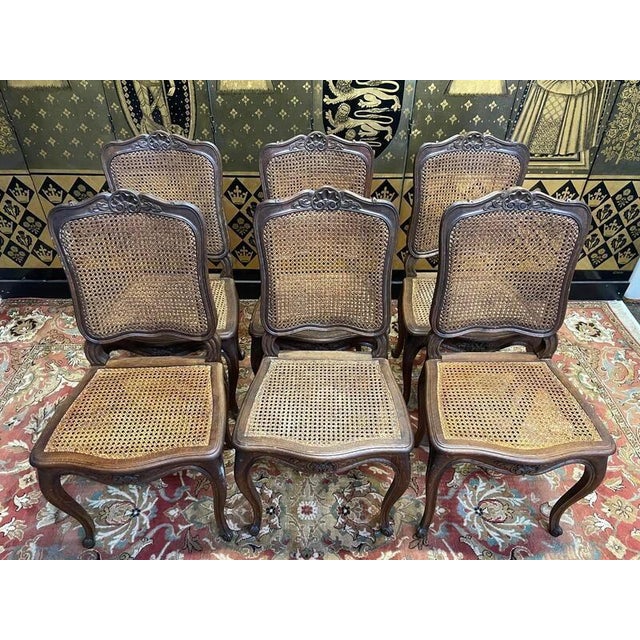 Wood Louis Xv Style Caned Chairs in Oak, Set of 6 For Sale - Image 7 of 10