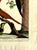 18th-Century Pair of French Hand-Colored Copperplate Engravings of Exotic Birds, by François-Nicolas Martinet For Sale - Image 14 of 18