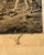 Cream Antique Etching by French Artist Louis Monziès After Eugene Fromentin - Orientalist Falconry Equestrian For Sale - Image 8 of 17