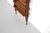 Wood 835 Infinito Bookcase by Franco Albini for Cassina, Italy, 1956 For Sale - Image 7 of 18