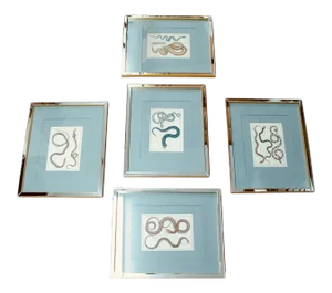 Set of Five Hand Colored Snake Engravings, 18th Century