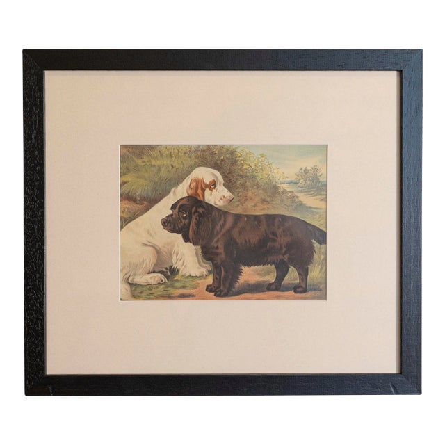 Single Print - Cassell, Petter, Galpin & Co Chromolithograph Dog Print in Black Frame For Sale