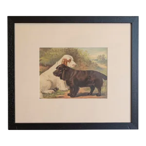 Single Print - Cassell, Petter, Galpin & Co Chromolithograph Dog Print in Black Frame