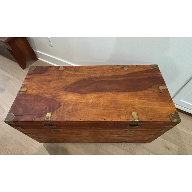 19th Century Large 19th Century British Campaign Trunk in Brass Bound Camphor Wood For Sale - Image 5 of 15