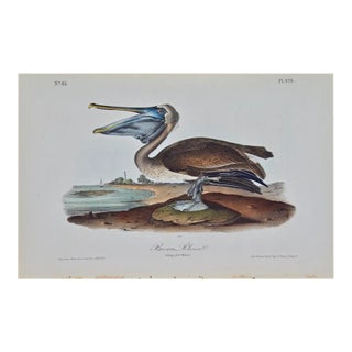 Brown Pelican: An Original Audubon 1st Edition Hand-Colored Bird Lithograph, 1840 For Sale