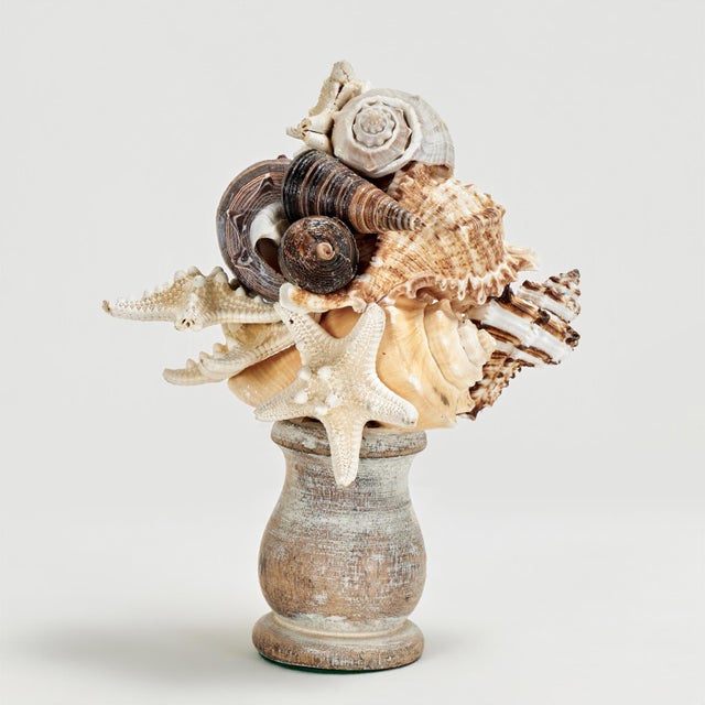 Pair of one of a kind exotic free form seashell sculpture presented on wood remnants. Left: H: 8 W: 6.5 D: 4.5 Right: H:...