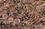 1990s Shabby Chic 1990's Floral Pak-Persian Brown/Gray Wool Round Rug- 8'0'' X 8'3'' For Sale - Image 5 of 9