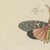 Bertuch, Walking Leaf and Chinese Lantern Fly, 1805, Print For Sale - Image 9 of 12