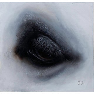 Decisive Point by Che Leviathan | Oil on Artefex ACM panel Close-up of an animal's eye For Sale